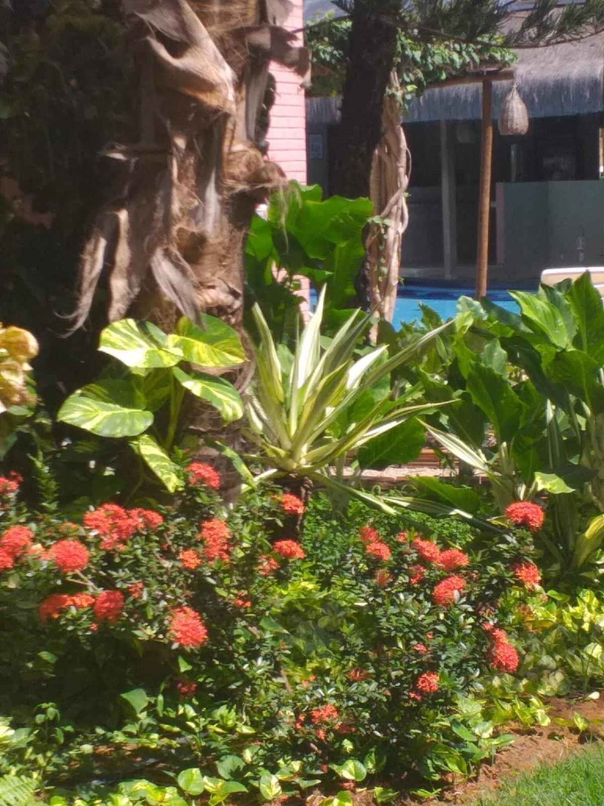 Tulipa - Centro De Pipa - Triplex Cond Pipa Apartamento *